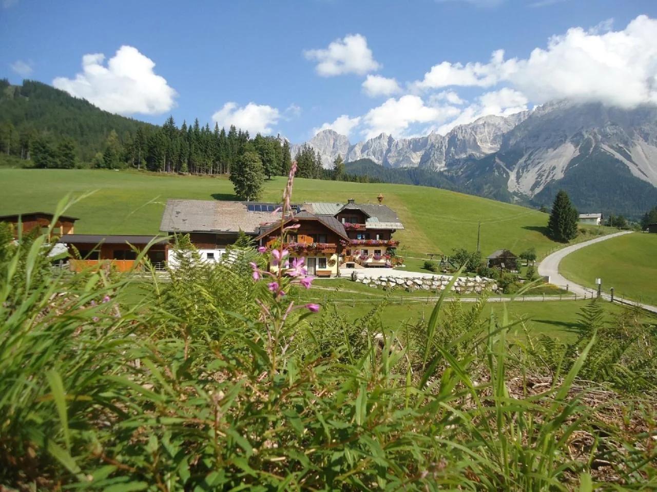 Pension-Greimelbacherhof foto