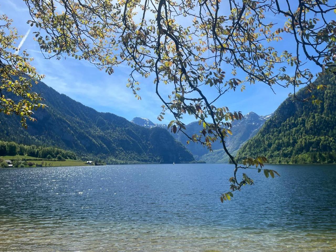 The Mountain Nest foto