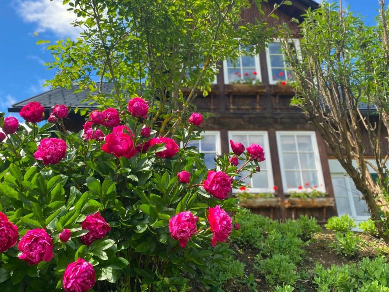 Villa Bellevue Altaussee photo