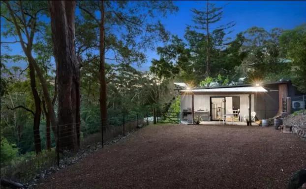 Avoca Beach and Bush foto