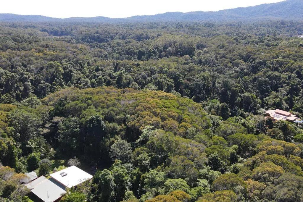 Tranquil Rainforest Studio Kuranda photo