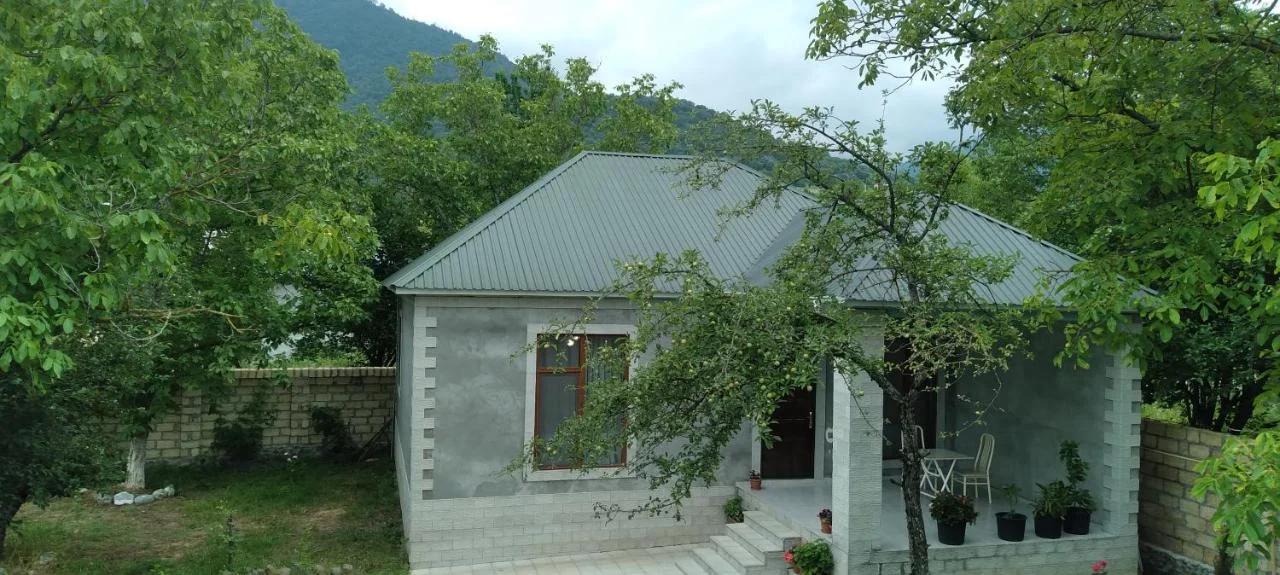 Gabala rent House photo