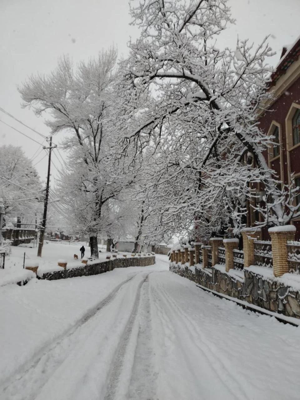 Mahmud Hostel photo
