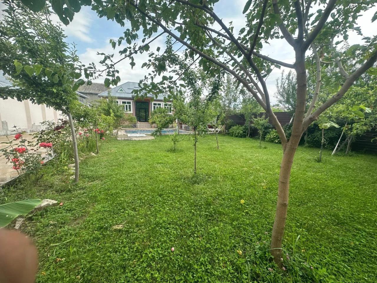 palma villa foto