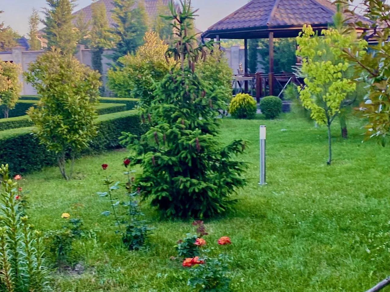 Villa Lux in Quba photo