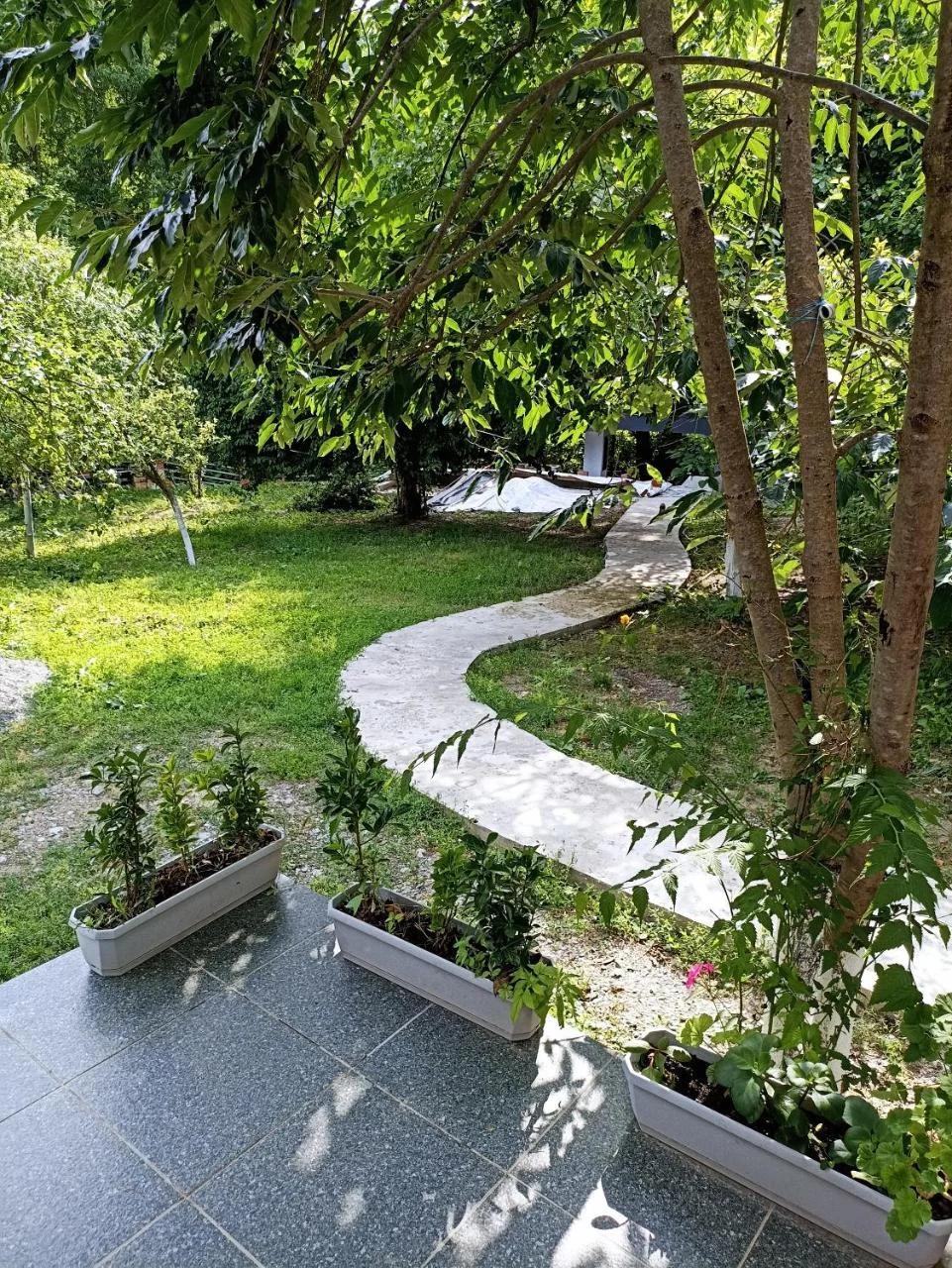 Woodland Paradise foto