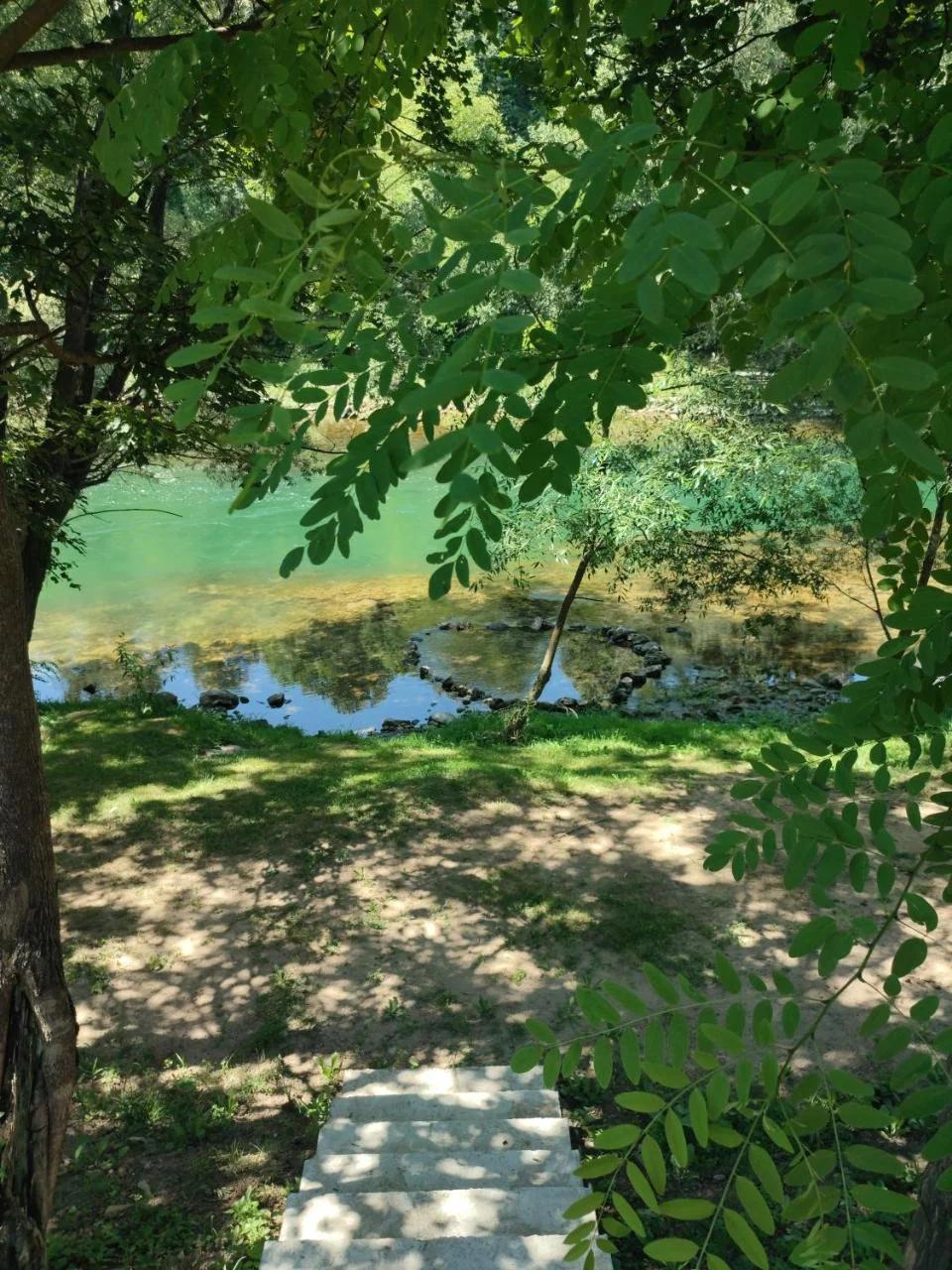 Apartmani Kajkut photo