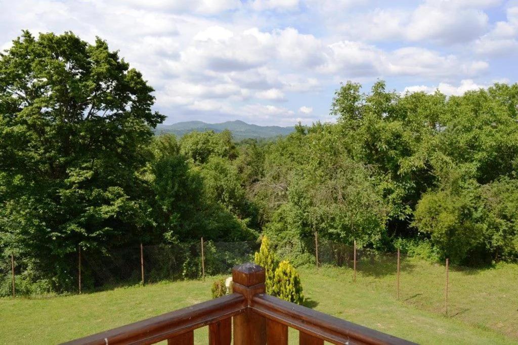 Sichanova Guest House photo