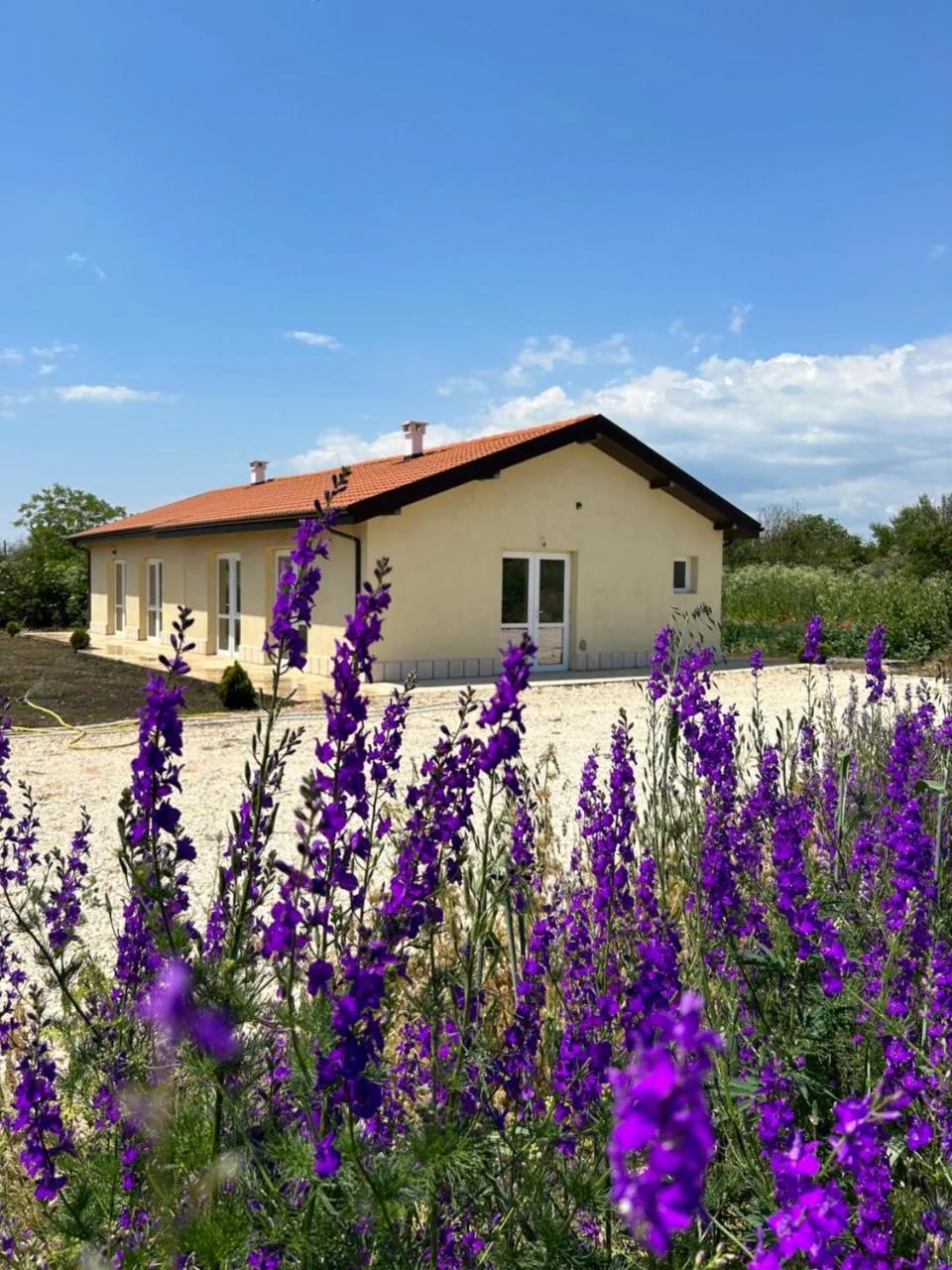 Villa Alba photo