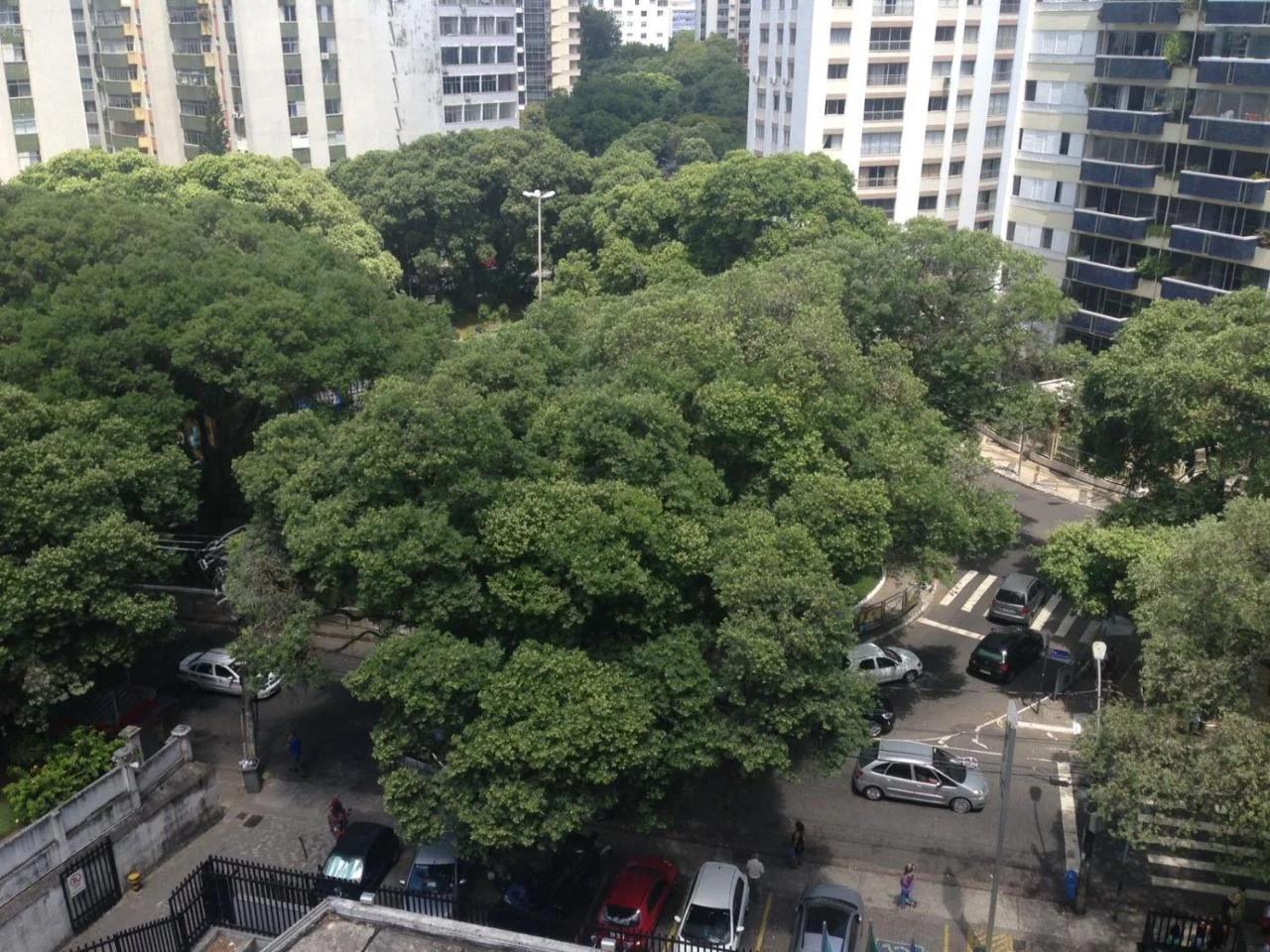 Apartamento na Graça photo