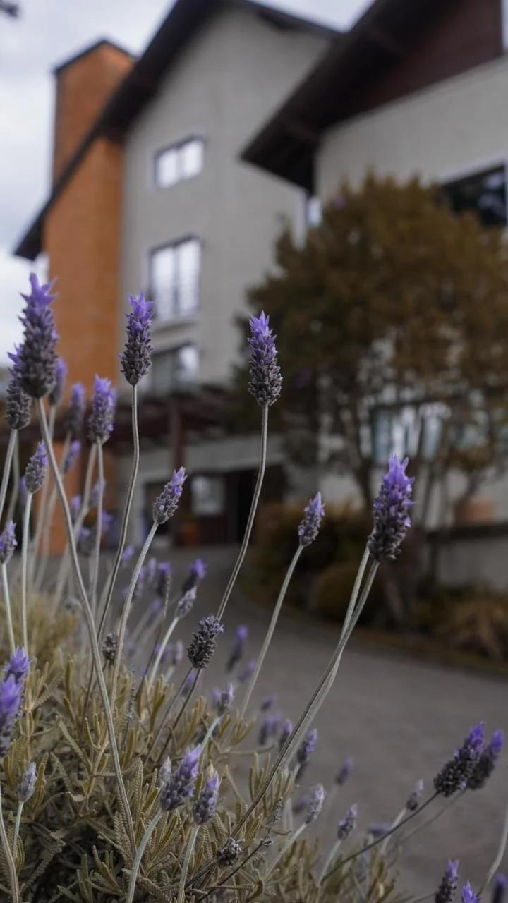 Hotel Gramado Interlaken