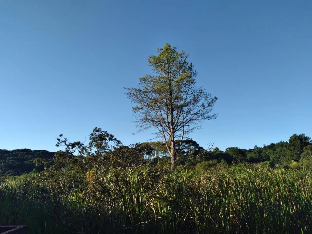 Pousada Lar do Sossego foto