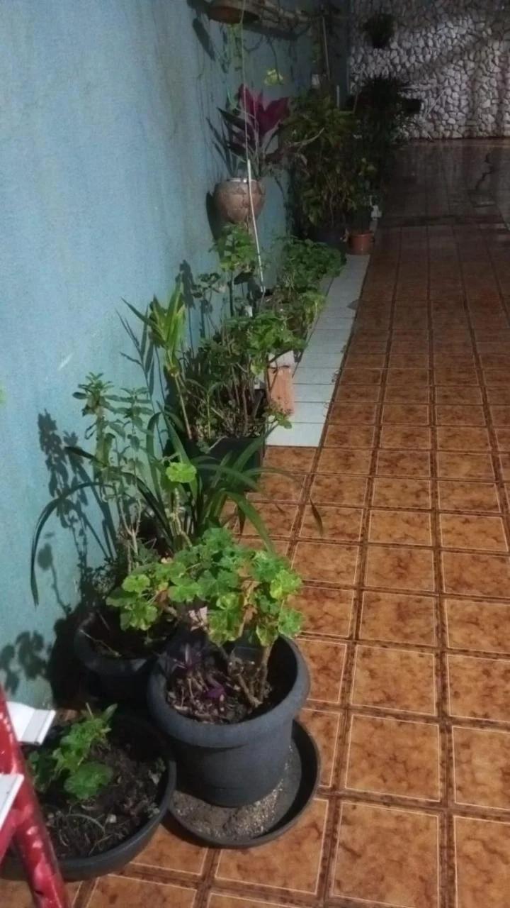 Quarto casal arejado foto