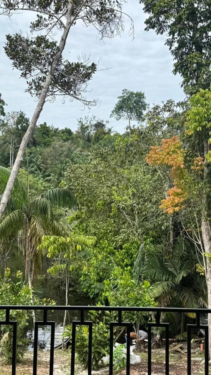 Refúgio na Floresta photo