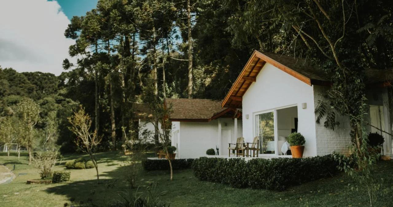 Roots Resort photo