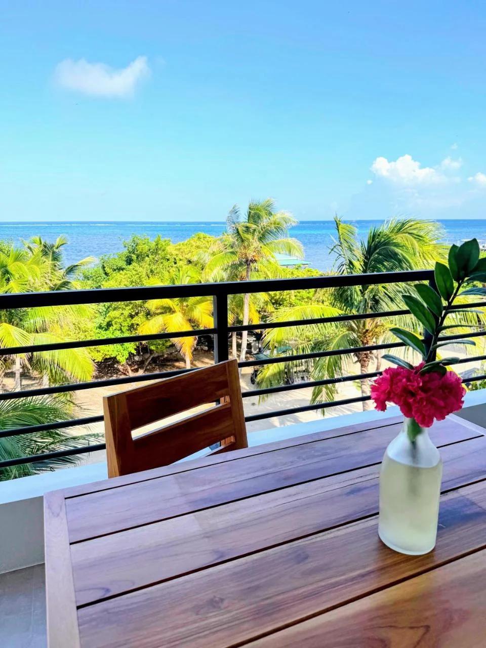 Hibisco Belize photo