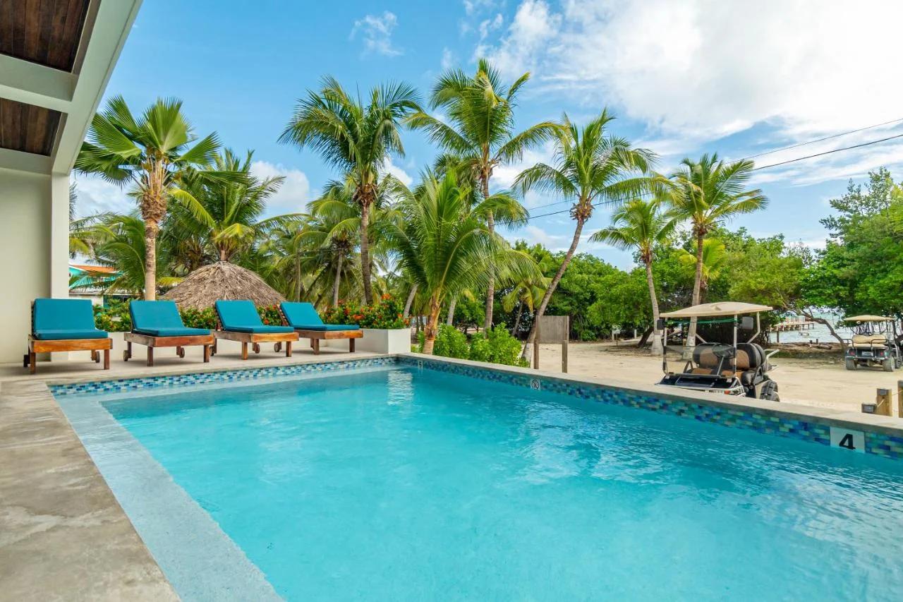 Hibisco Belize photo