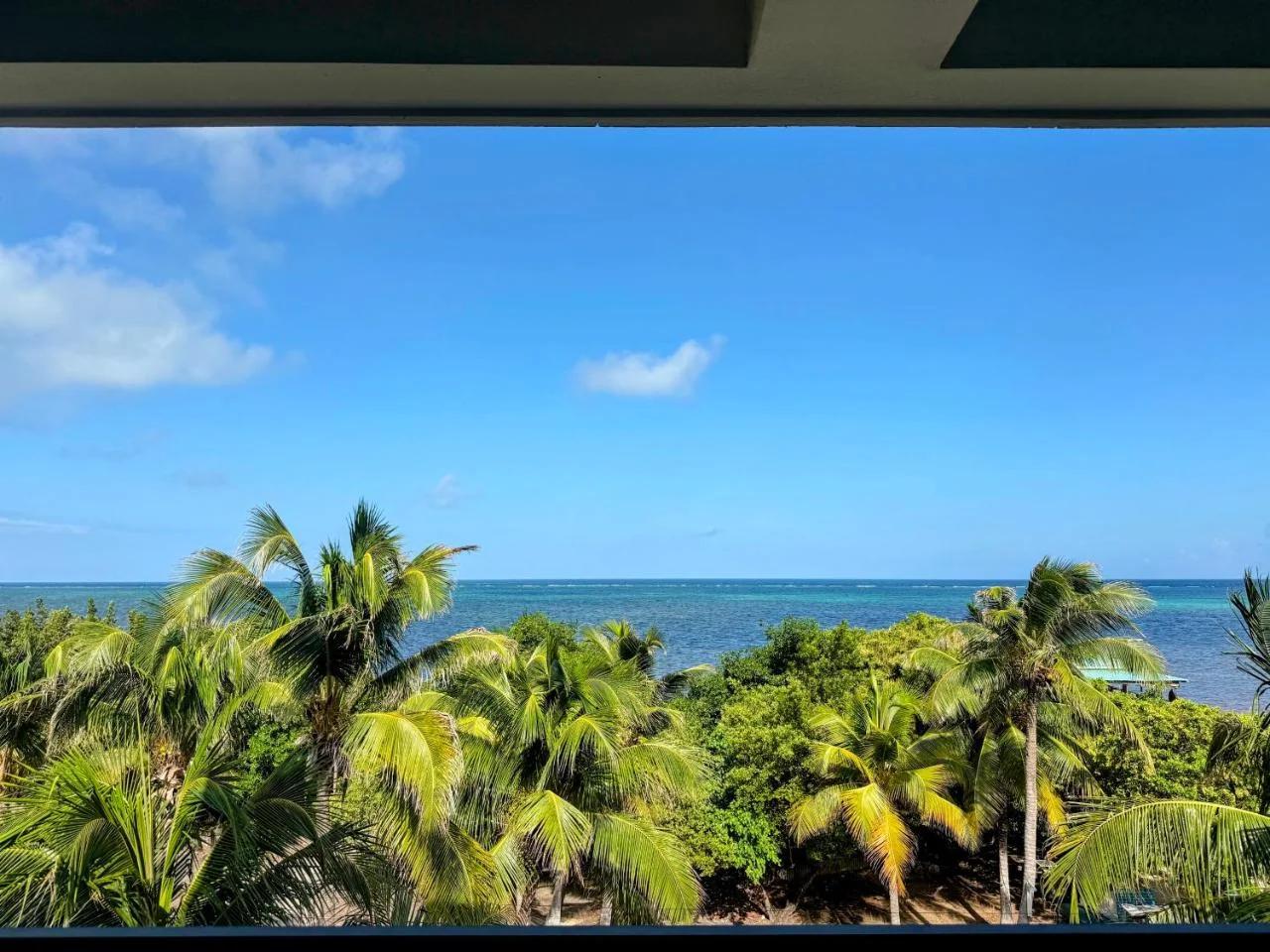 Hibisco Belize photo