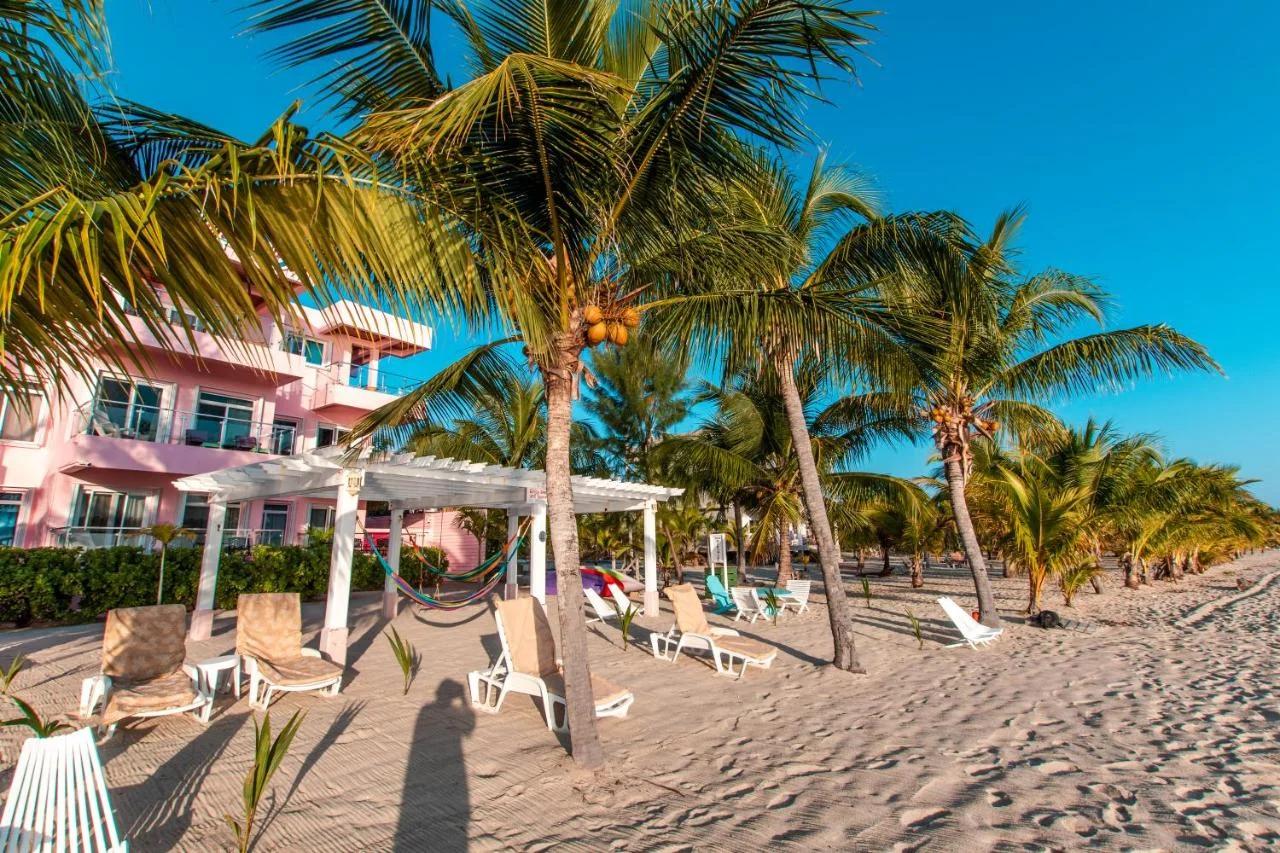 Miramar Suites photo