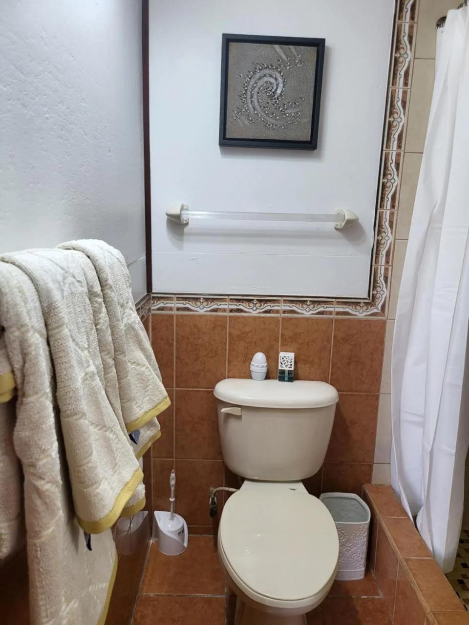 Placencia Oasis photo