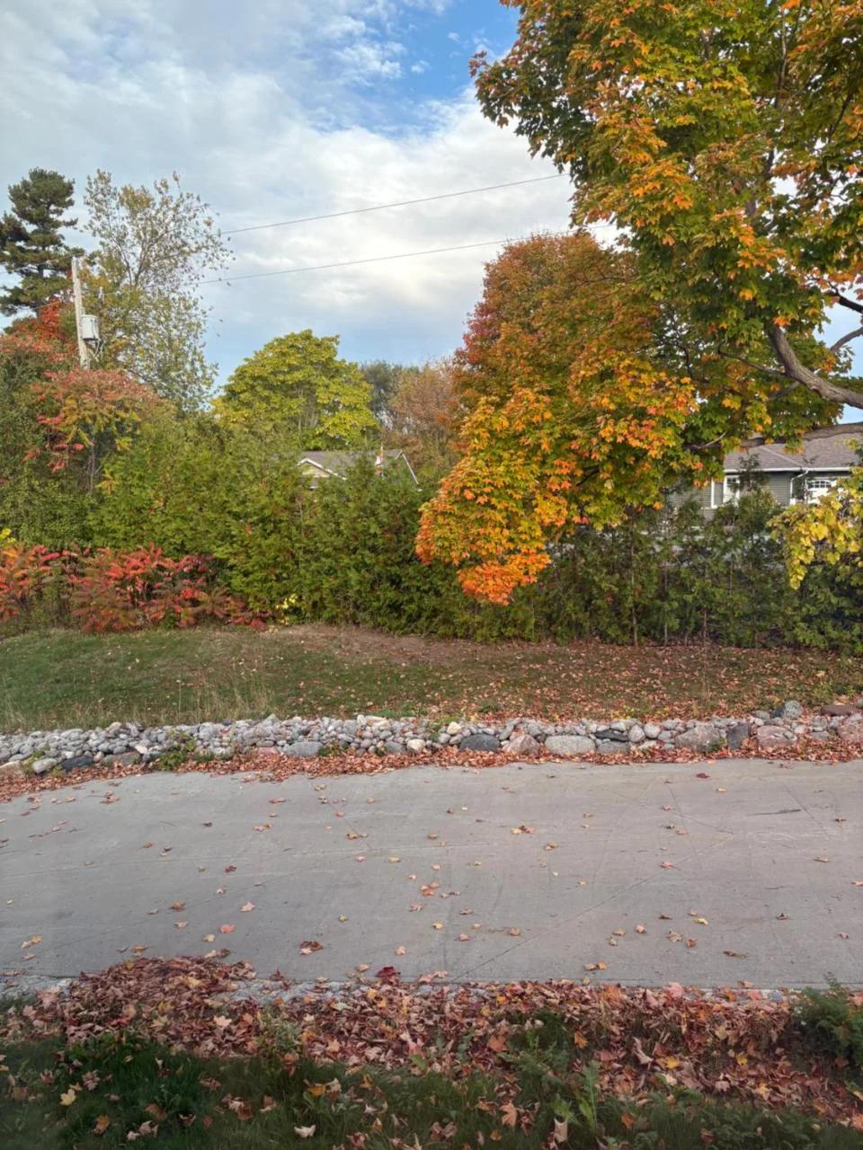 Lakeview photo