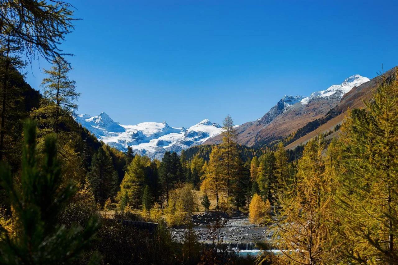 Sunstar Pontresina photo