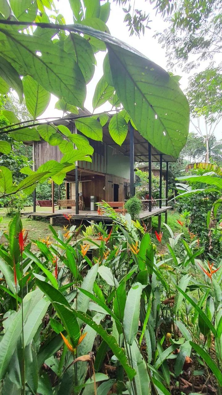 Amazona Lodge foto