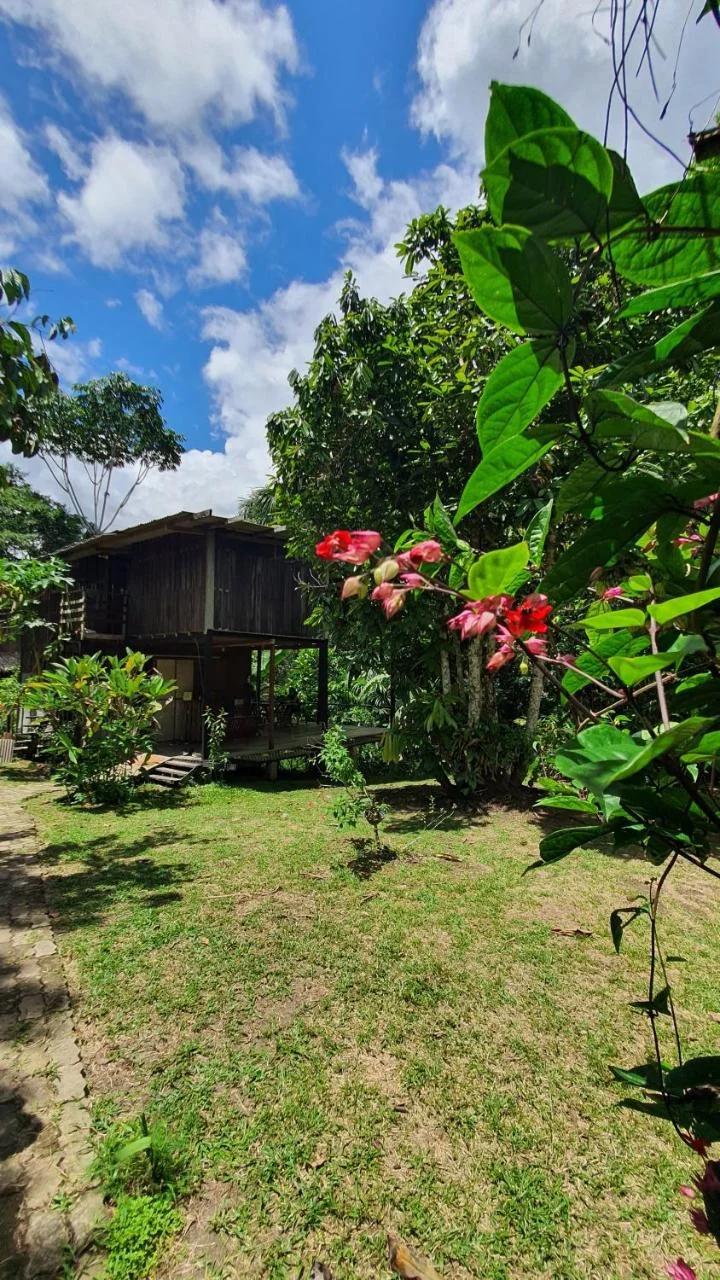 Amazona Lodge foto