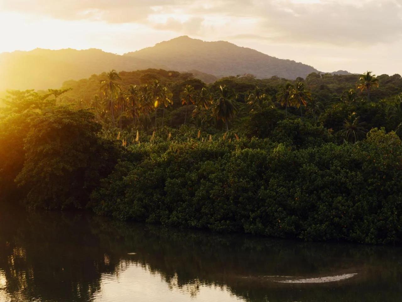 Finca Barlovento Maloka, Tayrona photo