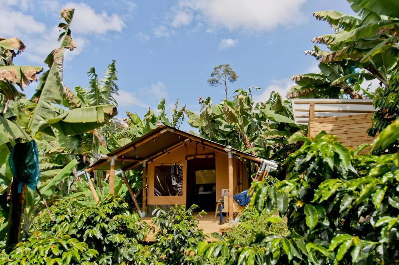 Glamping Jardín foto