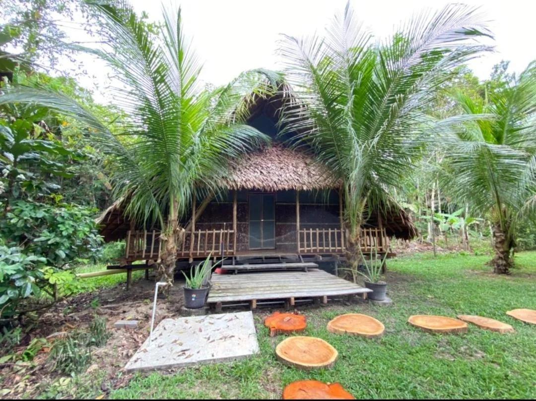 Hospedaje SELVA DE AVES photo