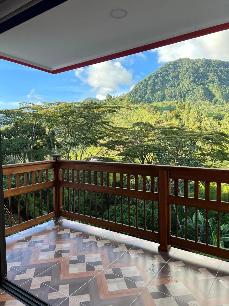 La camelia foto