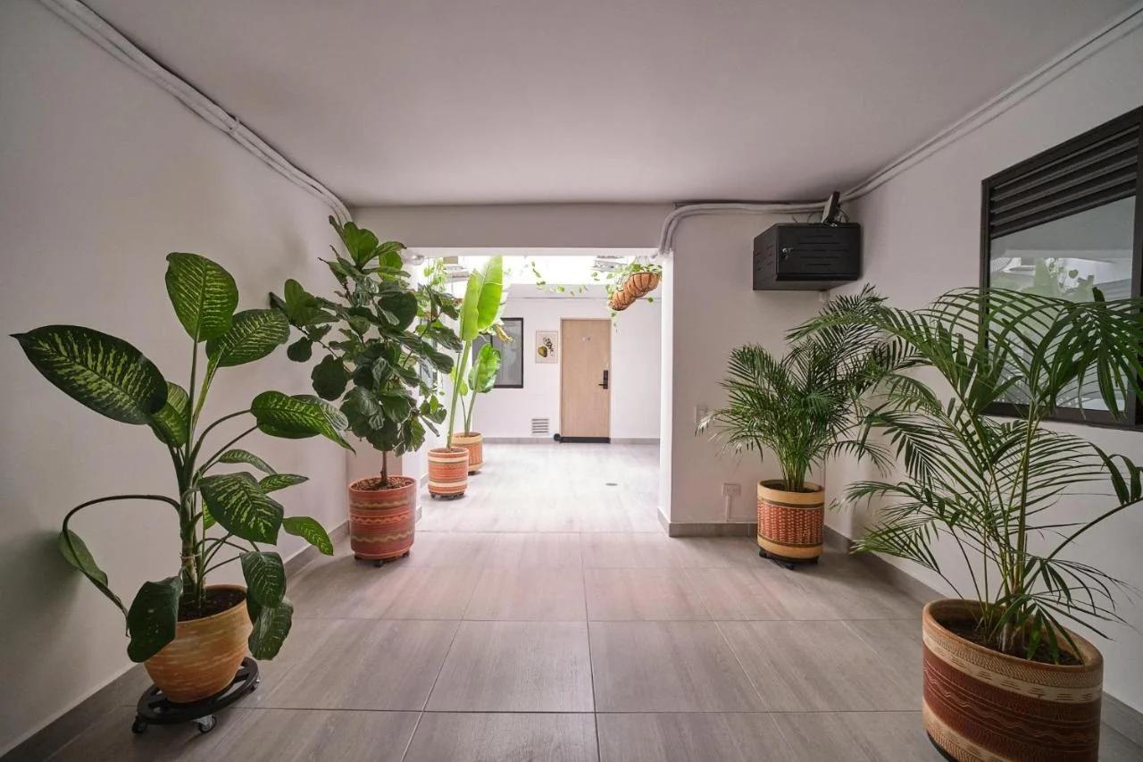 Living blue apartamentos
