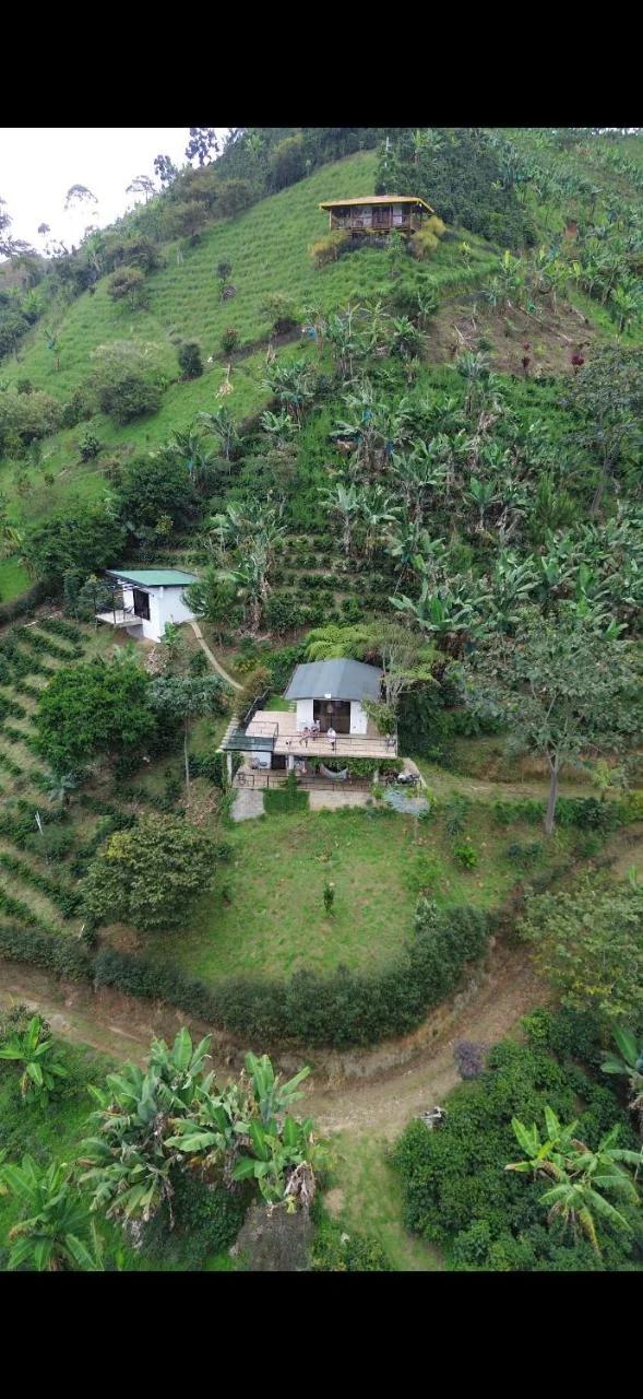 Montecafé Jardín