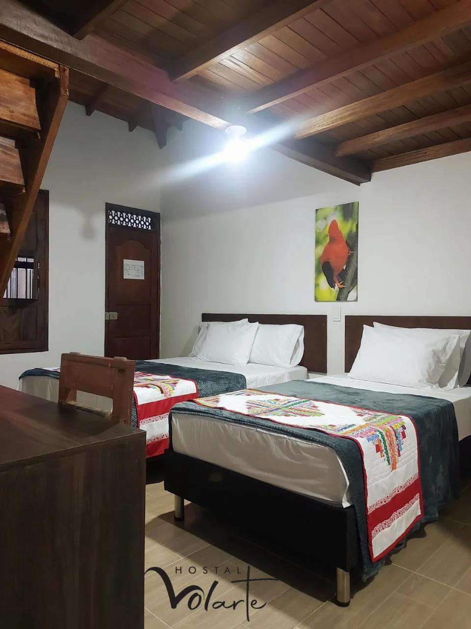 Volarte Hotel photo