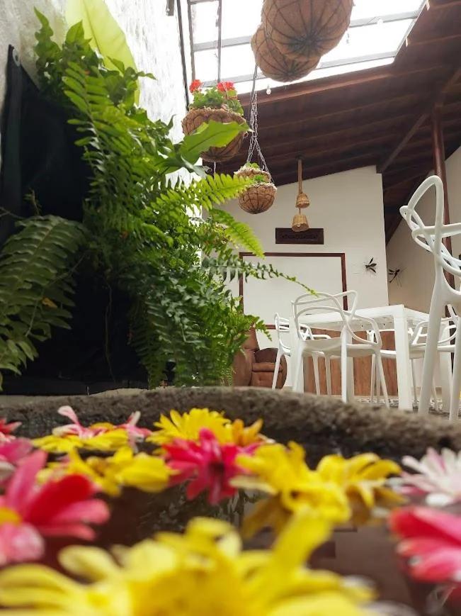 Volarte Hotel photo
