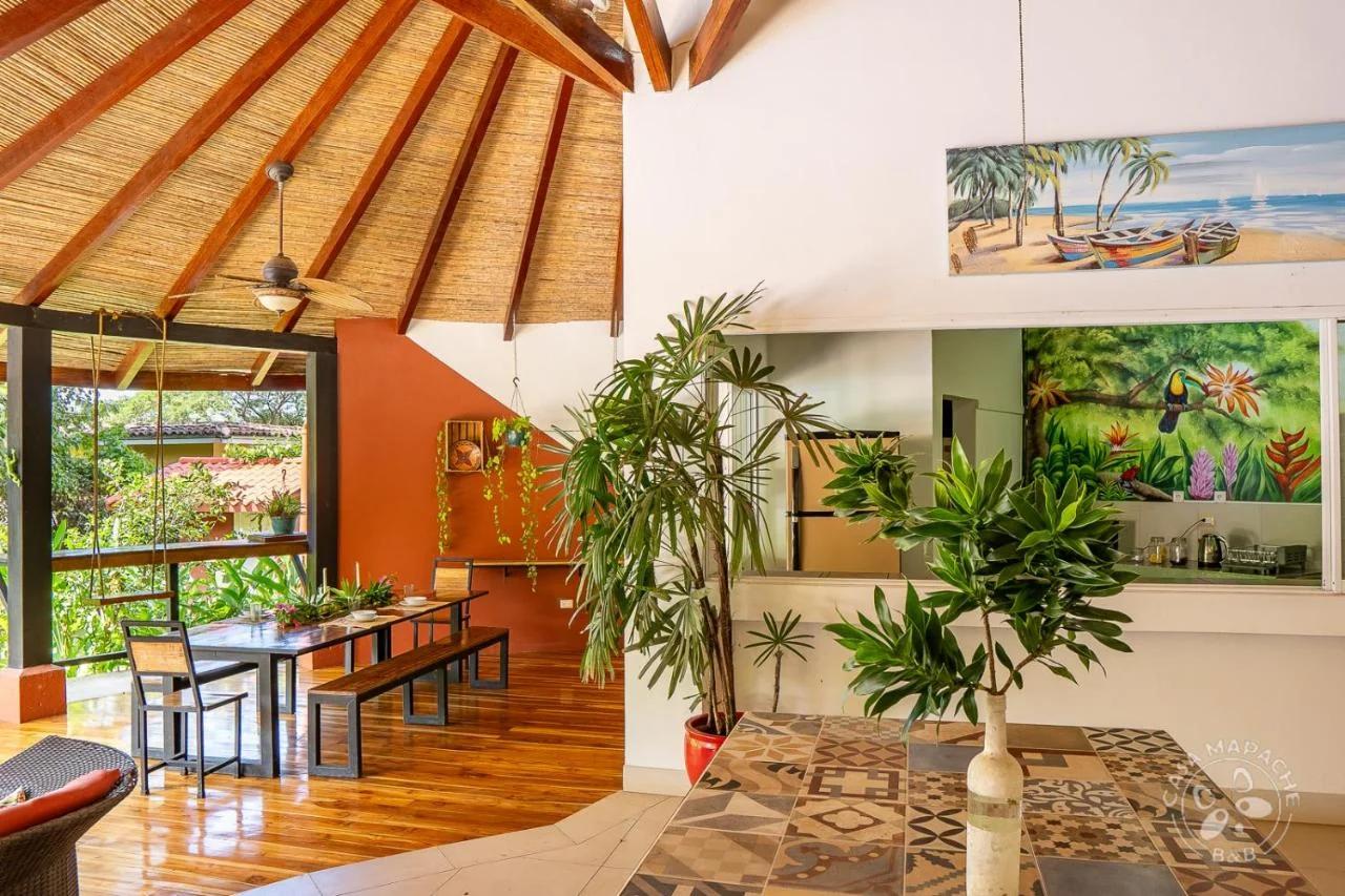 Casa Mapache photo