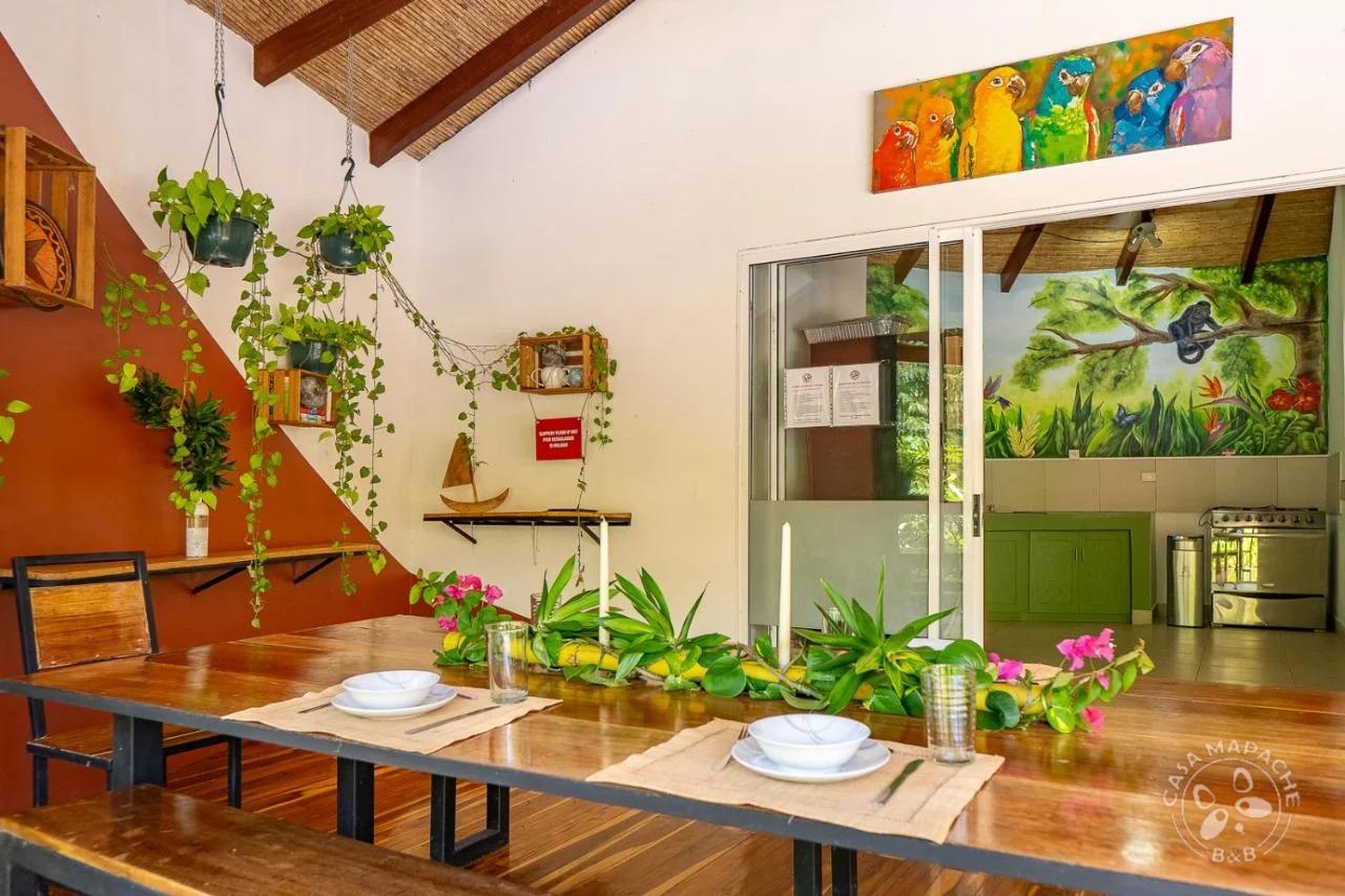 Casa Mapache photo