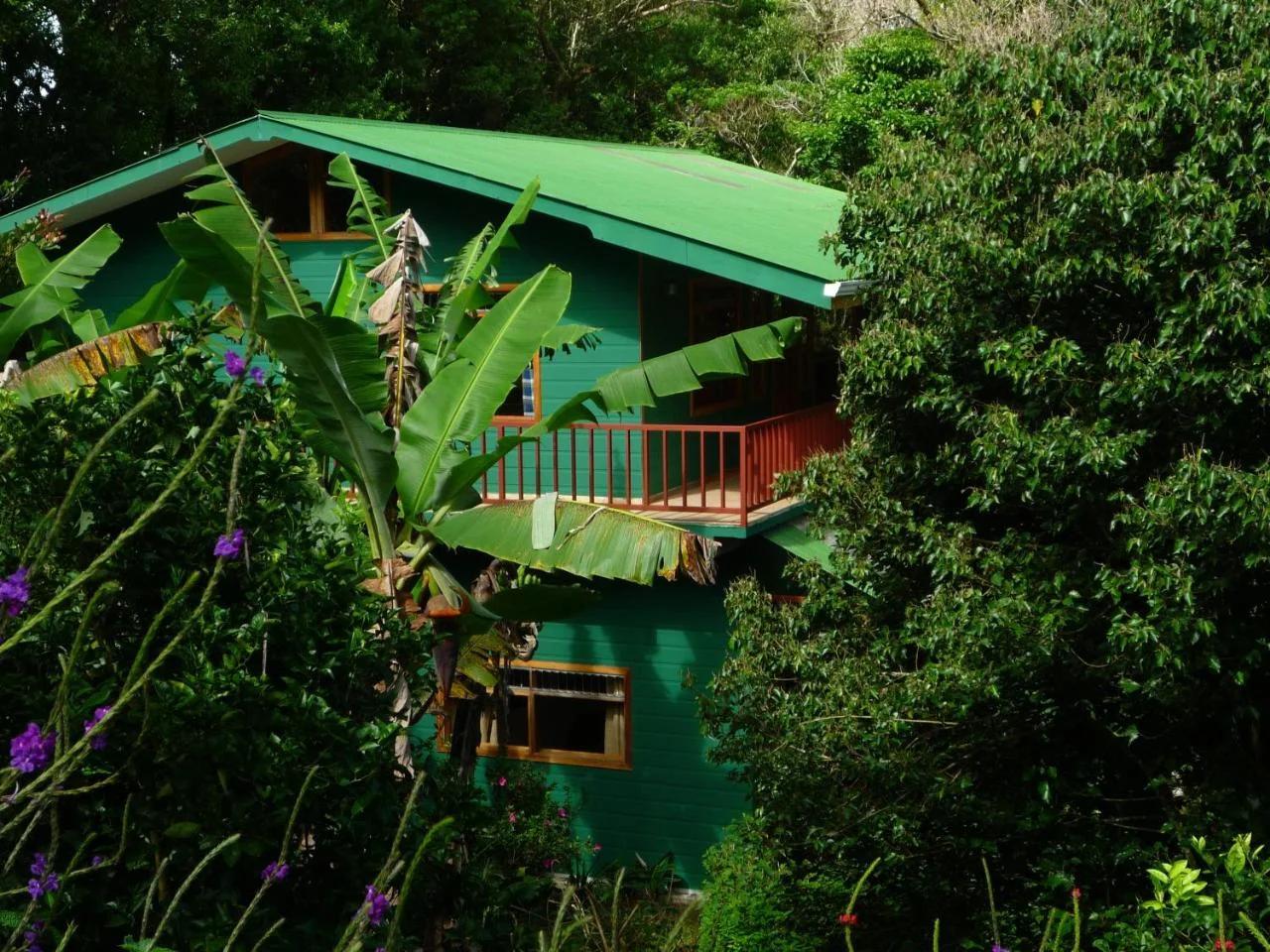 Hospedaje Mariposa foto