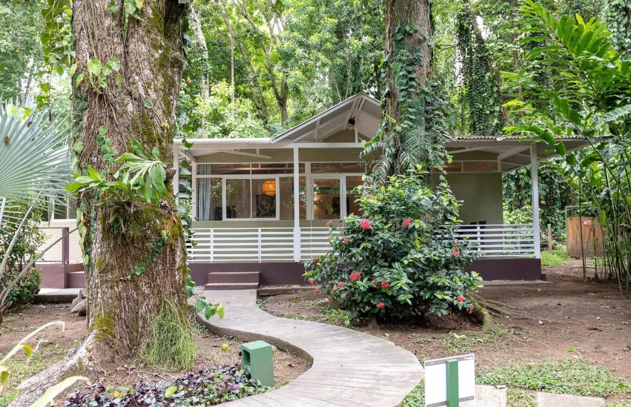 Jaguar Inn Bungalows photo