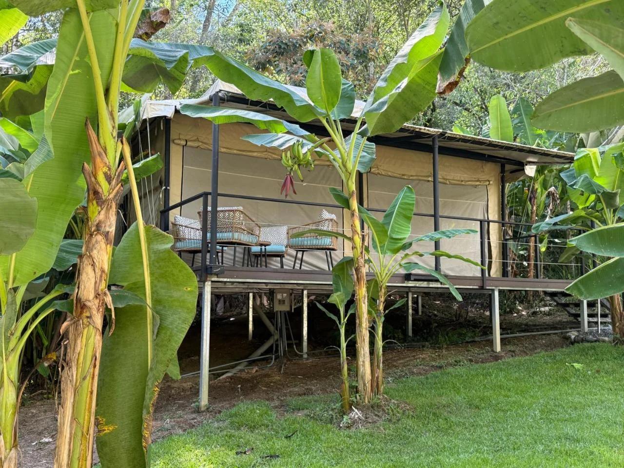 KRITAJNA SAFARi LODGE photo