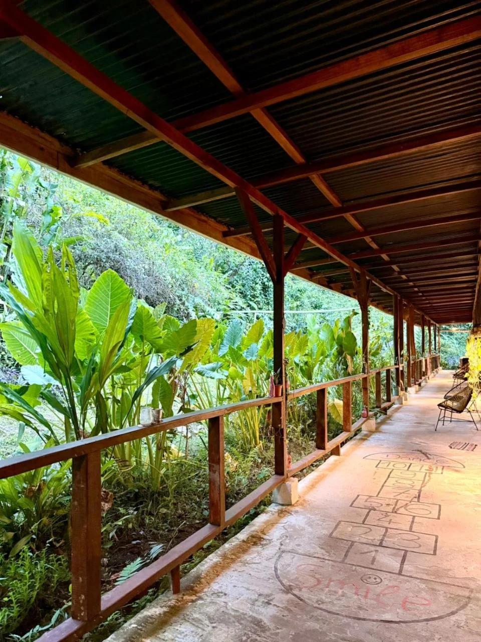 Smile Jungle Hostel photo