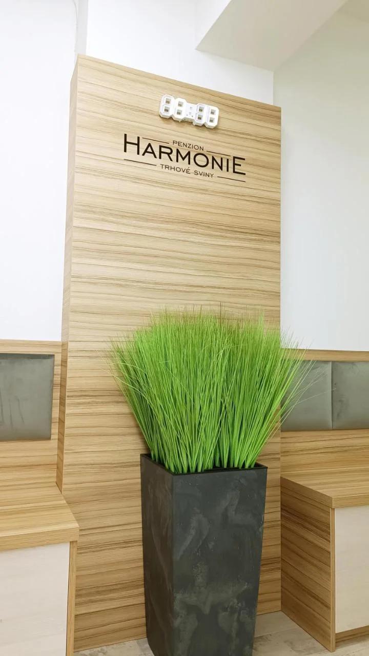 Penzion HARMONIE foto