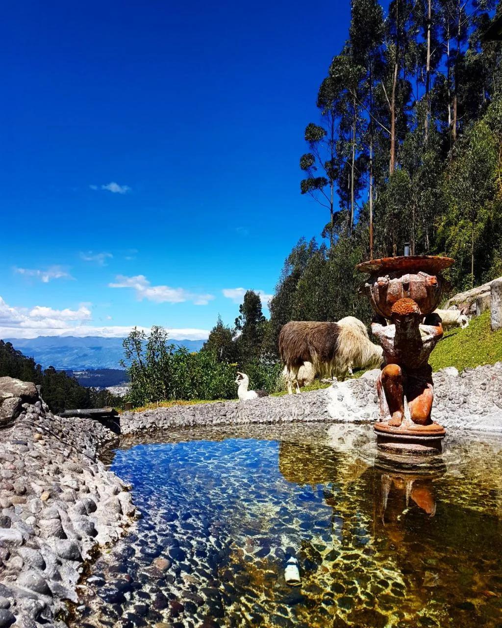 Hacienda Rumiloma photo