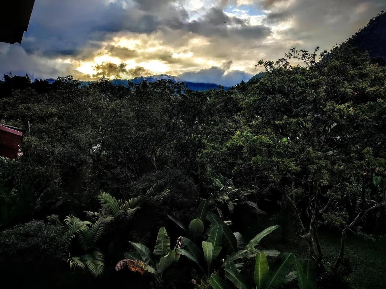 Mindo Suites - Rufous photo