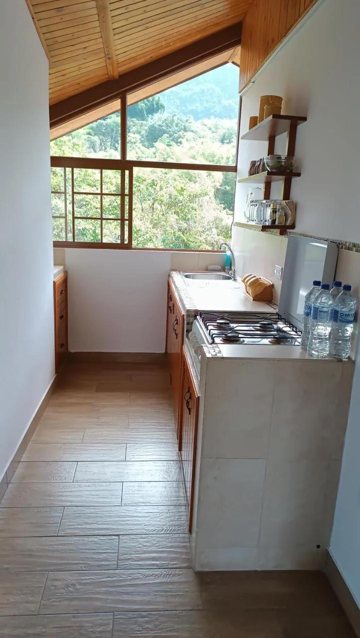 Mindo Suites - Toucans foto