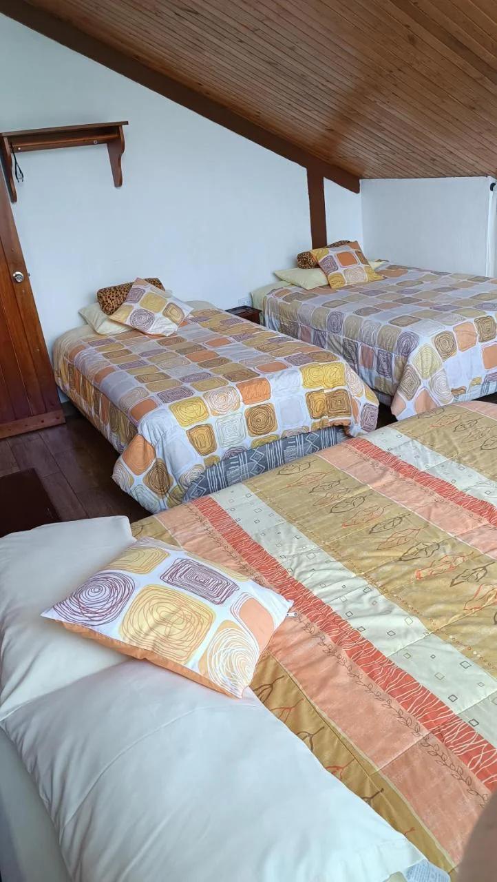 Mindo Suites - Toucans foto