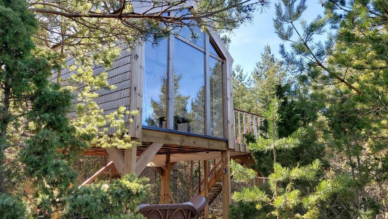 Üügumetsa treehouse foto