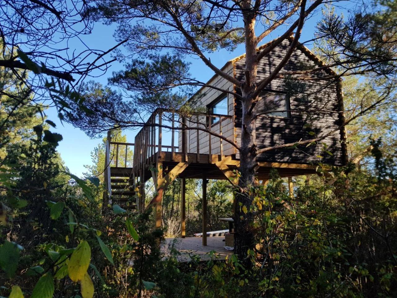 Üügumetsa treehouse foto
