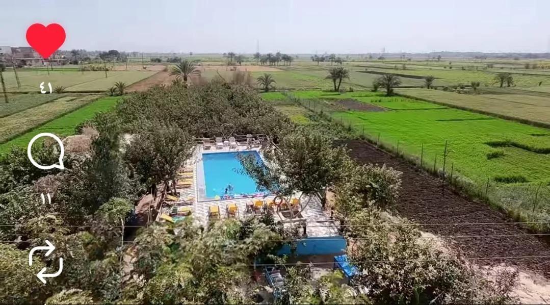 Bedouin Lodge Luxor photo